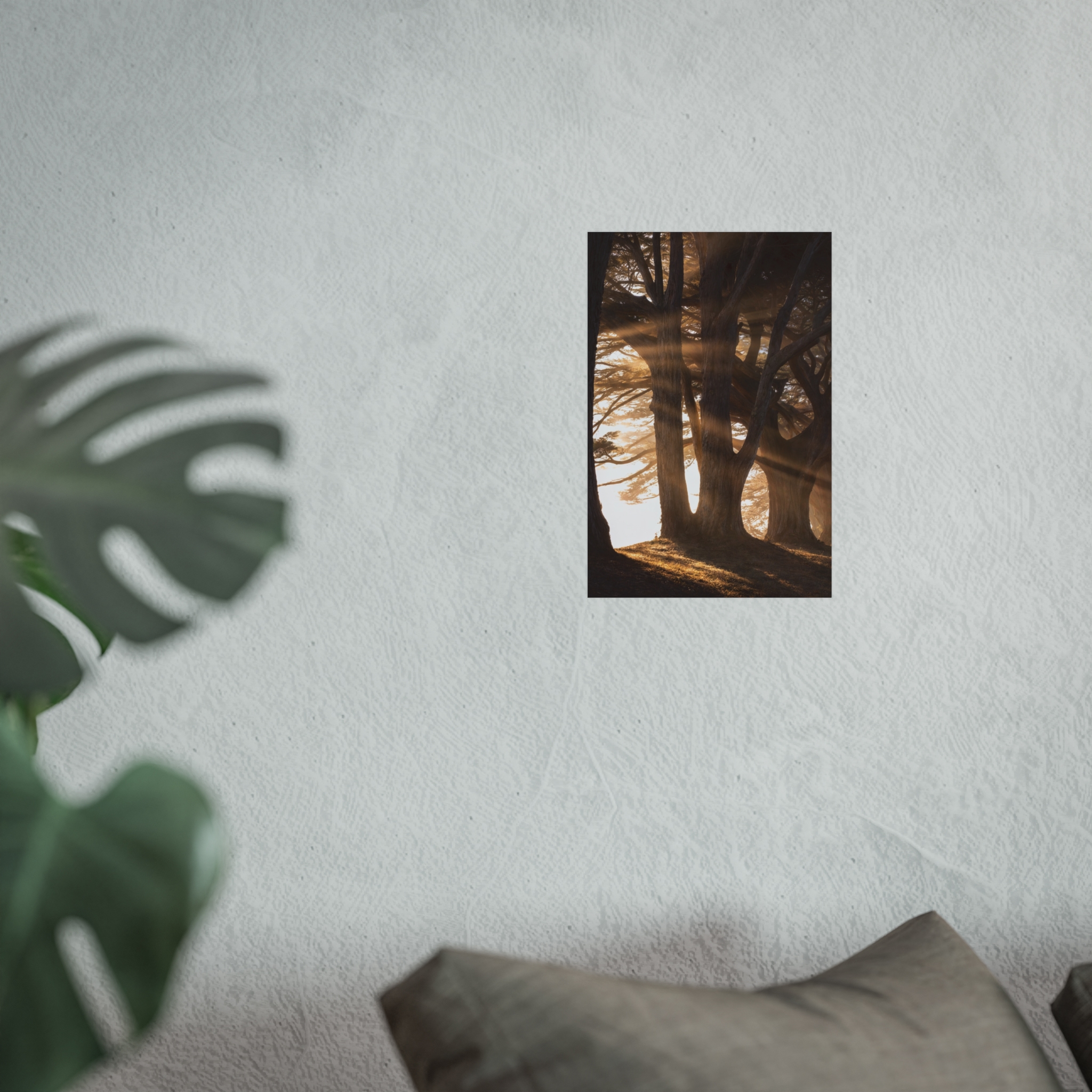Cathedral Pines — Misty Forest Fine Art Print - Image 2