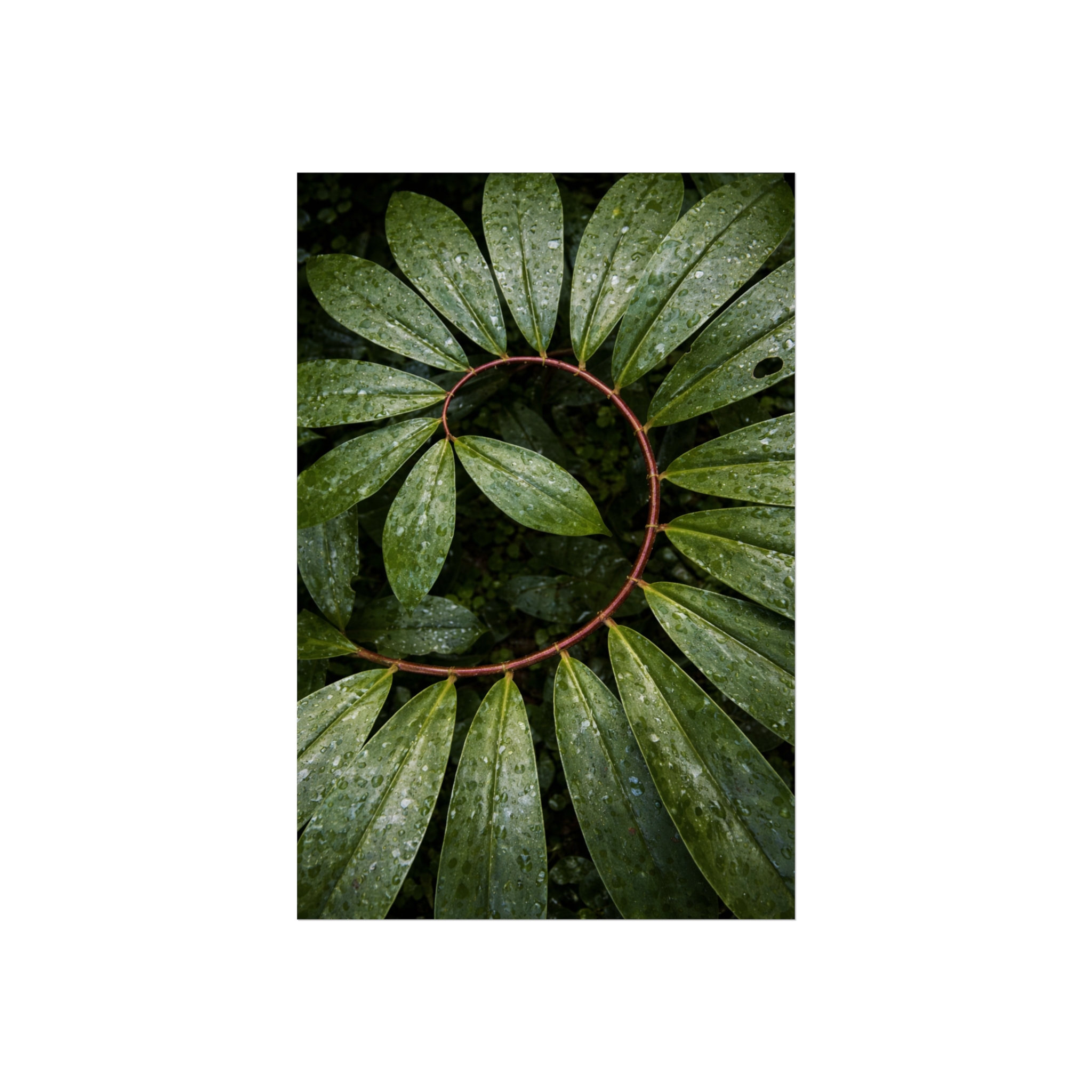 Verdant Halo — Botanical Wreath Fine Art Print - Image 10
