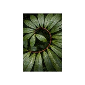 Verdant Halo — Botanical Wreath Fine Art Print