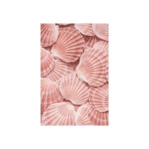 Blush — Soft Petal Fine Art Print