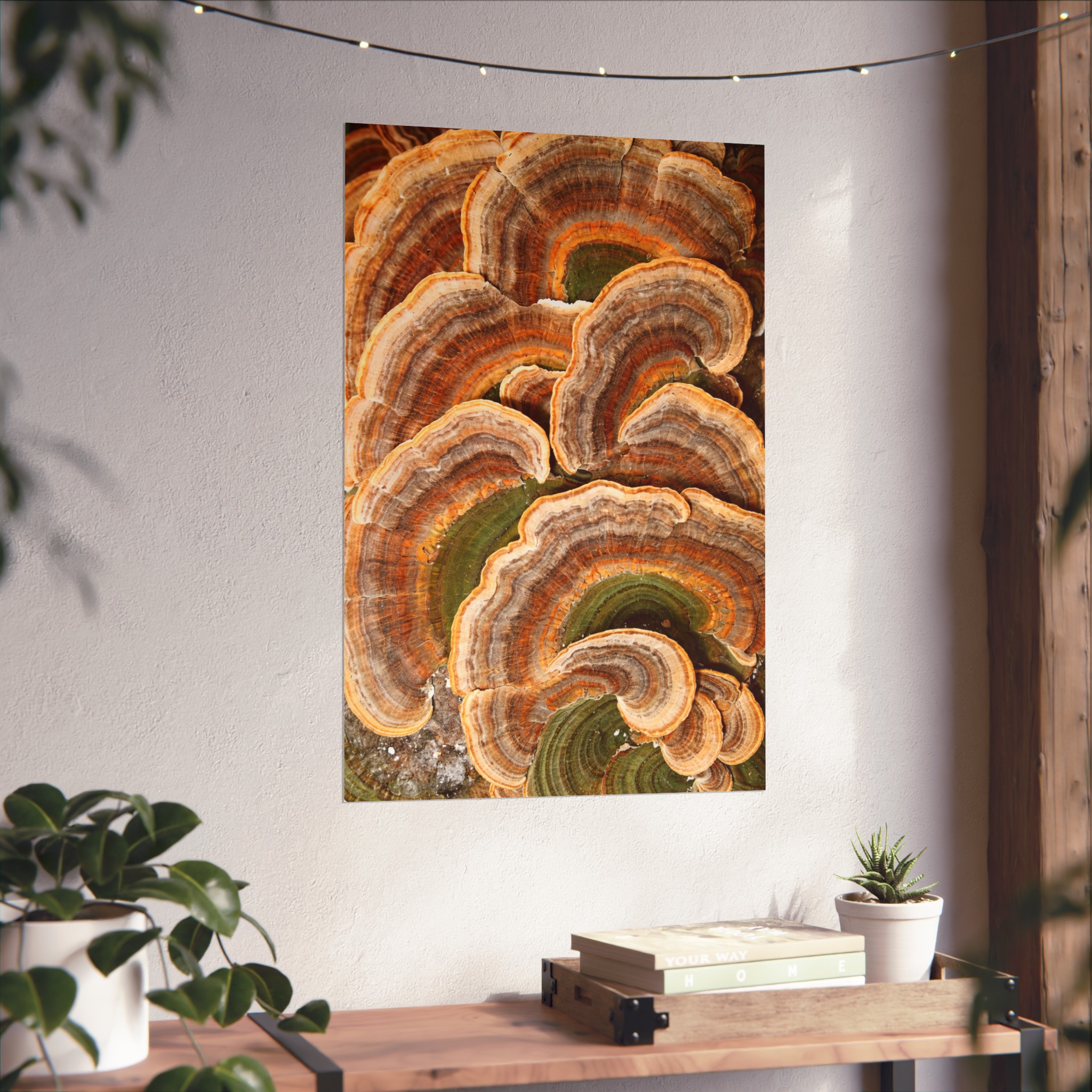 Amber Shelf — Woodland Fungi Fine Art Print - Image 12