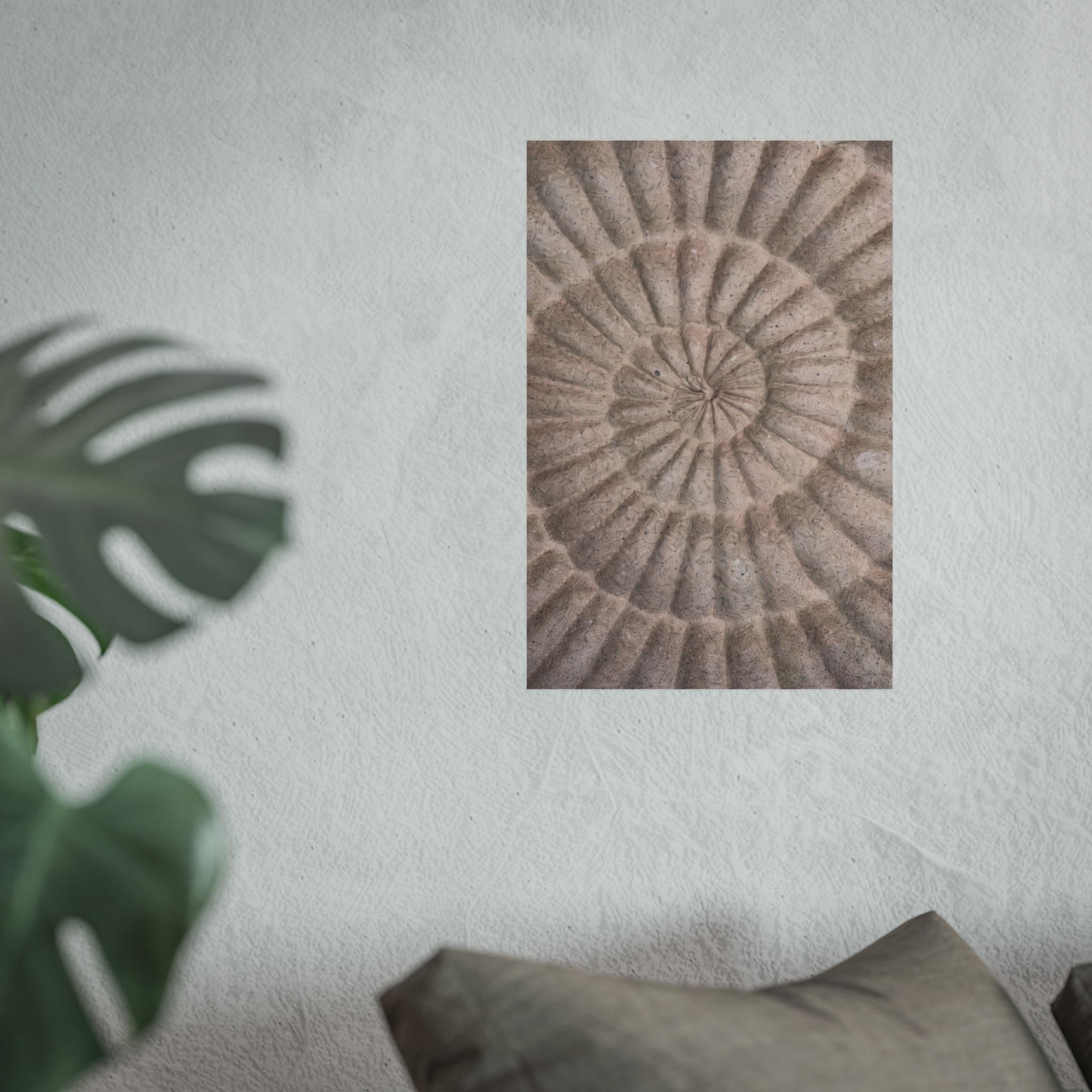 Fibonacci — Nautilus Spiral Fine Art Print - Image 5