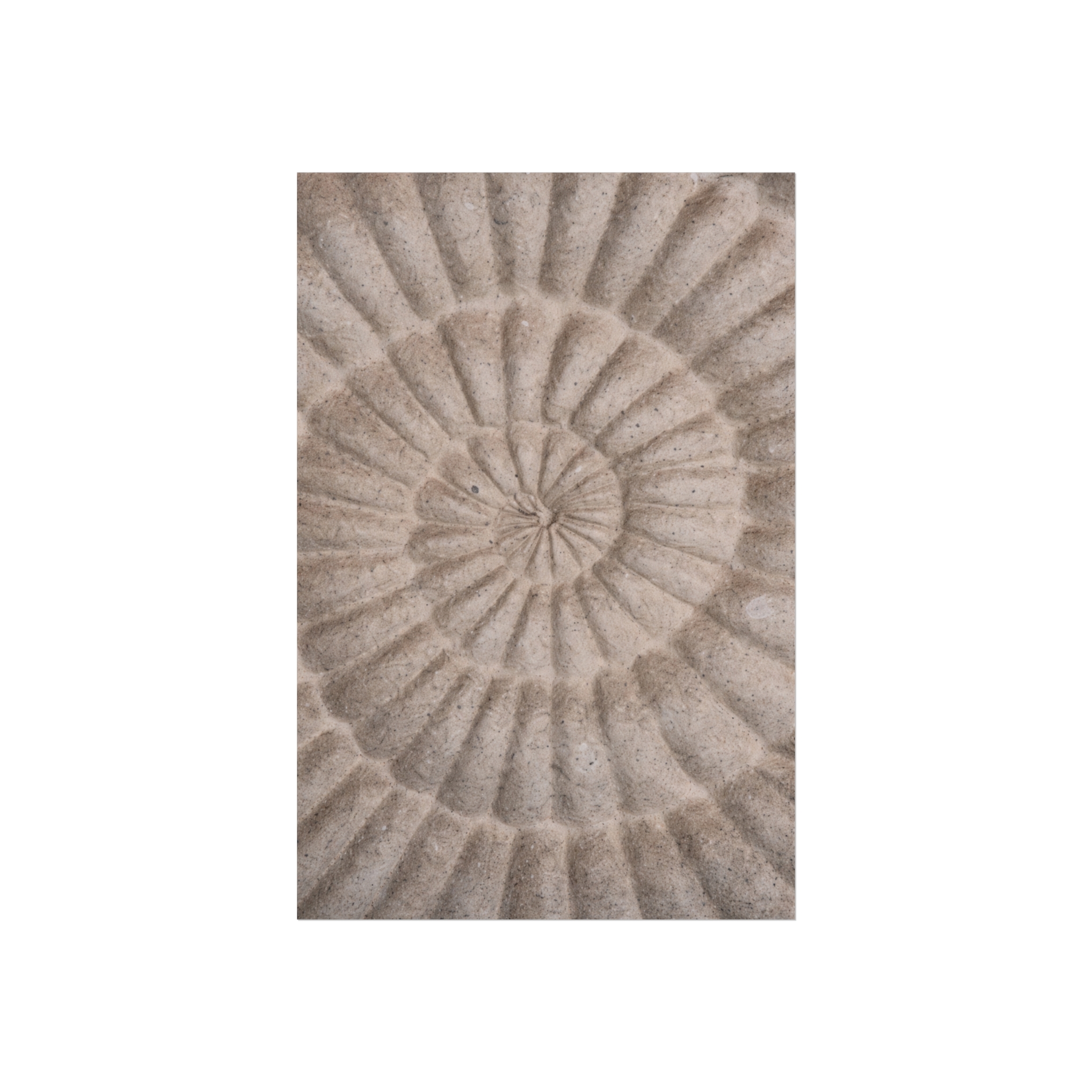 Fibonacci — Nautilus Spiral Fine Art Print - Image 10