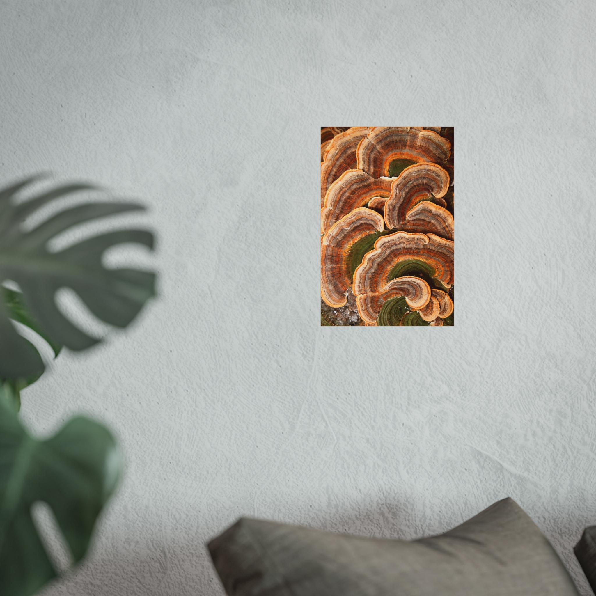 Amber Shelf — Woodland Fungi Fine Art Print - Image 2