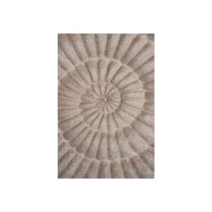 Fibonacci — Nautilus Spiral Fine Art Print