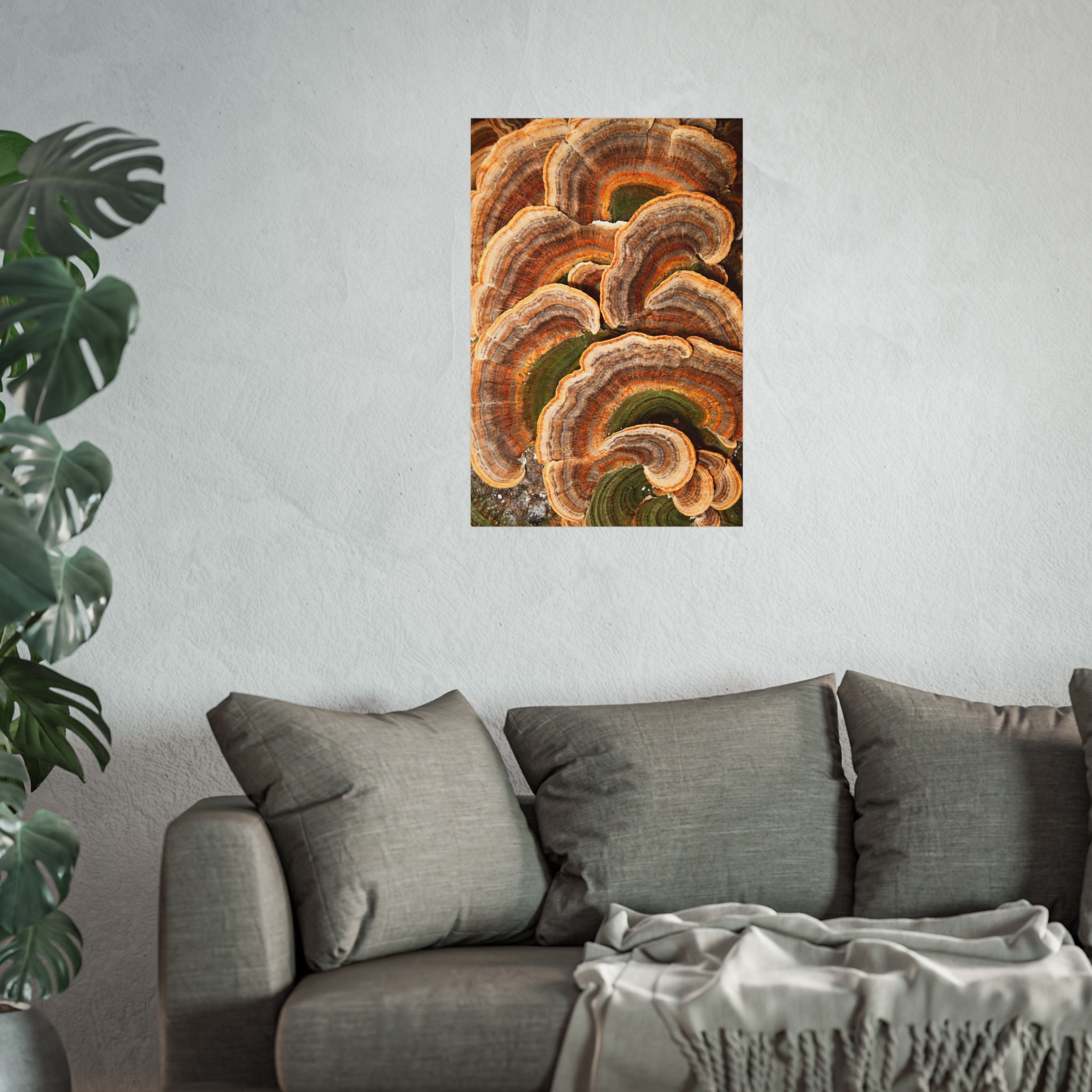 Amber Shelf — Woodland Fungi Fine Art Print - Image 11