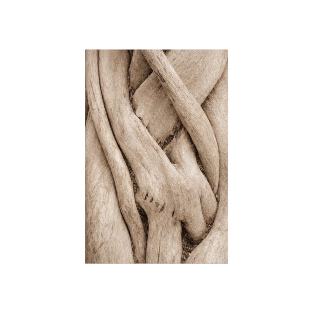 Entwined — Organic Forms Fine Art Print