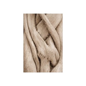 Entwined — Organic Forms Fine Art Print