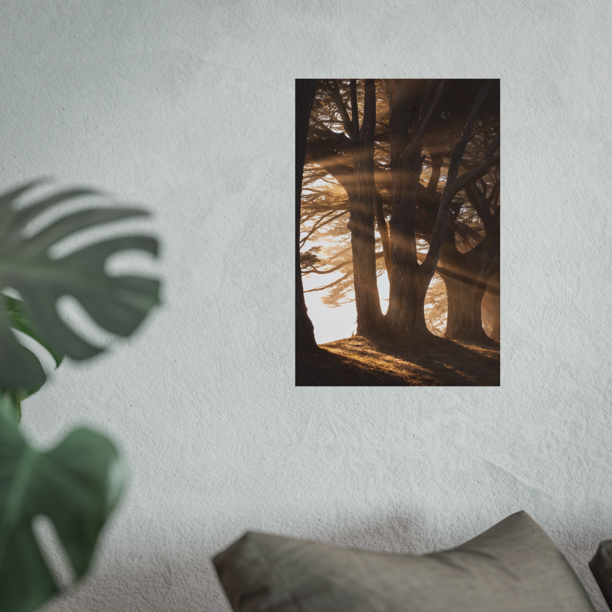 Cathedral Pines — Misty Forest Fine Art Print - Image 5