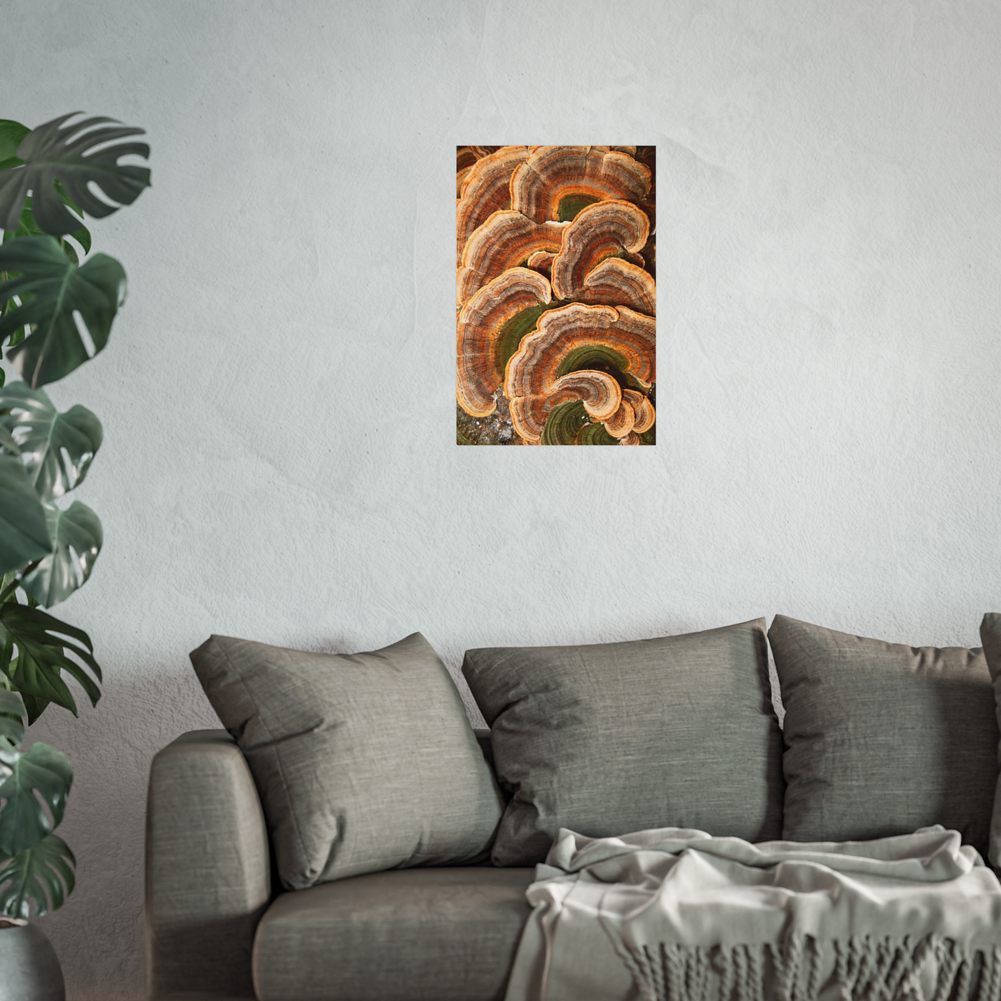 Amber Shelf — Woodland Fungi Fine Art Print - Image 8