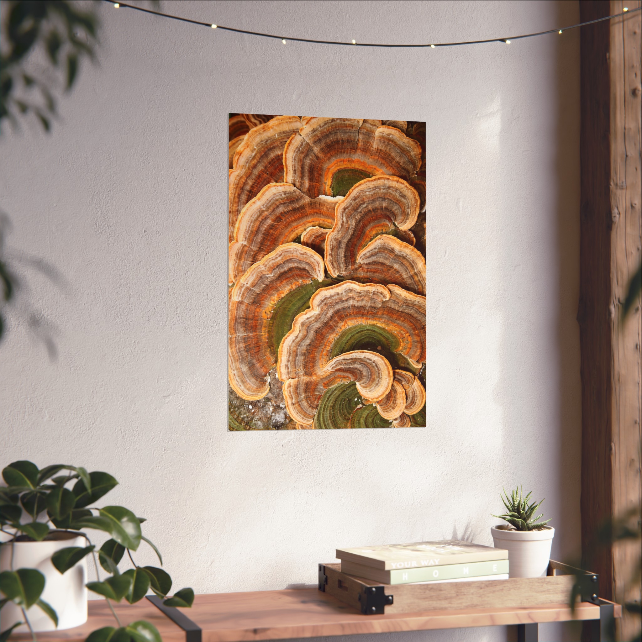 Amber Shelf — Woodland Fungi Fine Art Print - Image 9