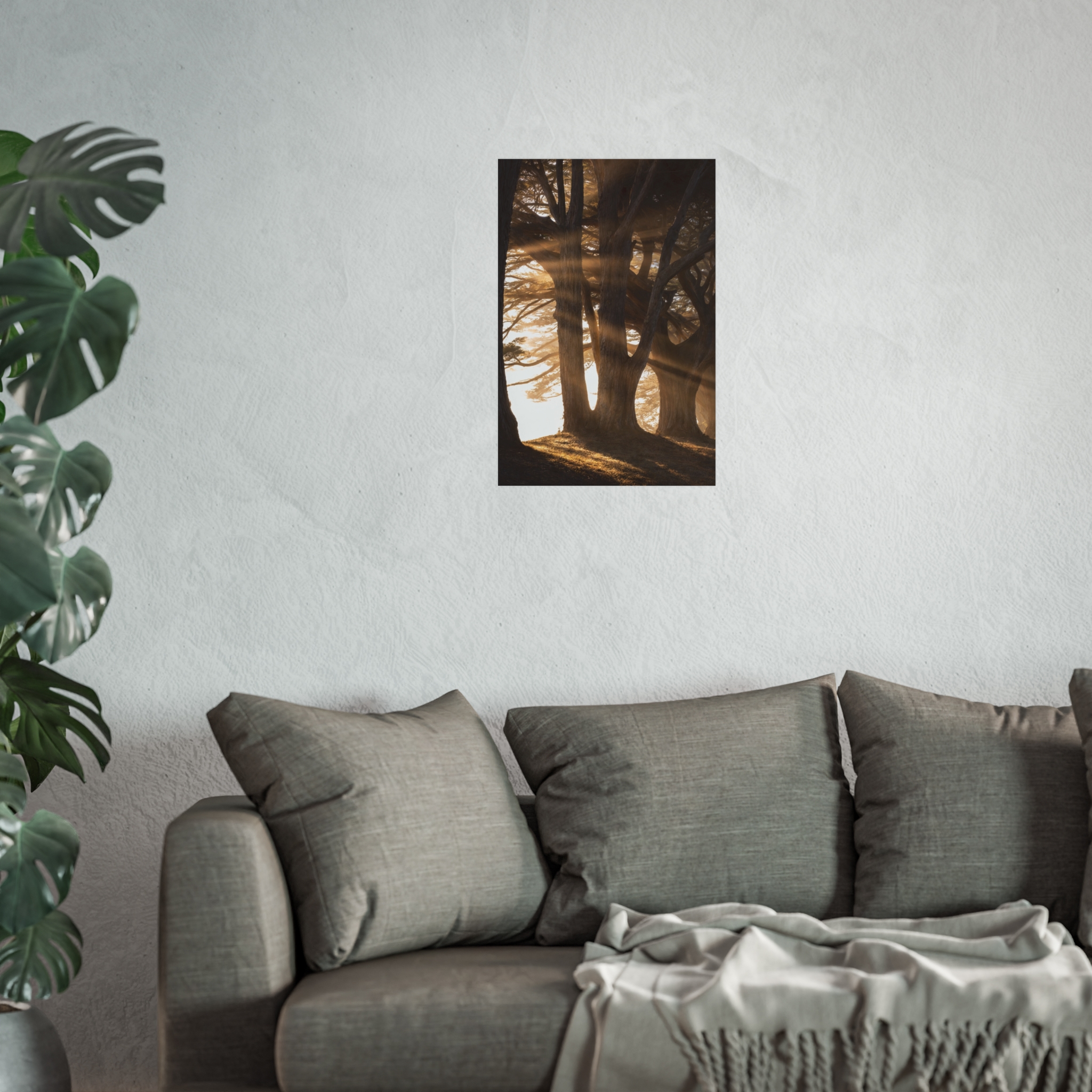 Cathedral Pines — Misty Forest Fine Art Print - Image 8